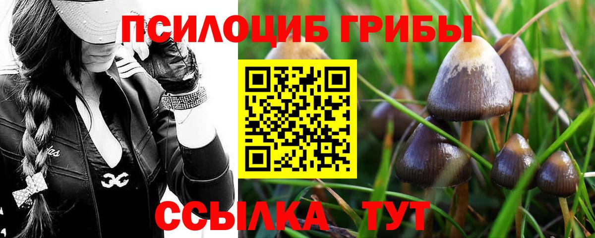 Ефремов  Псилоцибиновые грибы MAGIC MUSHROOMS  Вход с VPN  Псилоцибиновые грибы прущие грибы 